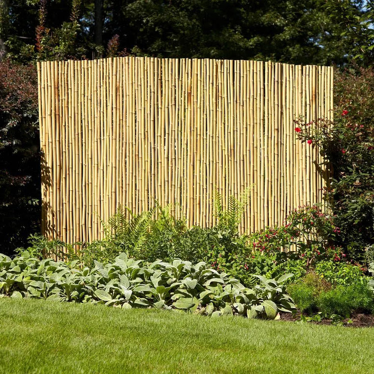 Vigoro Natural Full-Round Bamboo Fence, 6 ft. x 8 ft.
